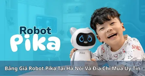 Bảng Giá Robot Pika Tại Hà Nội Và Địa Chỉ Mua Uy Tín