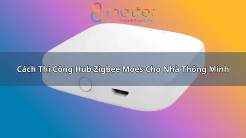 Hub Zigbee Moes: vai trò và cách dùng trong nhà thông minh