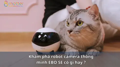 Robot camera EBO SE có gì hay, dùng để làm gì