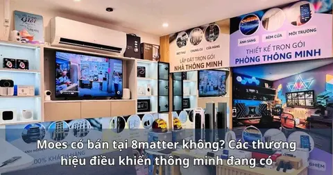 Moes có bán tại 8matter không? Các thương hiệu điều khiển thông minh đang có