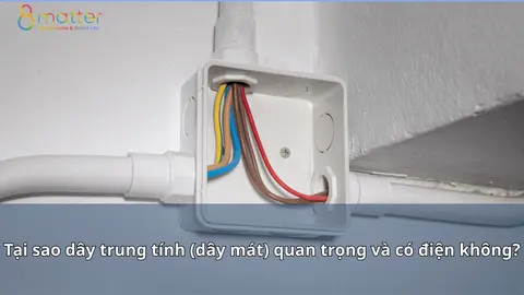 Dây trung tính có điện không và vì sao quan trọng?