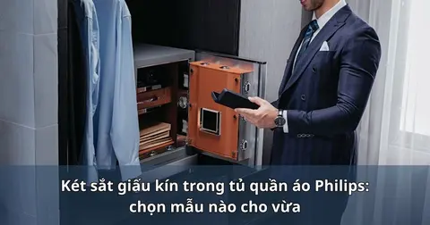 Két sắt giấu kín trong tủ quần áo Philips: chọn mẫu nào cho vừa