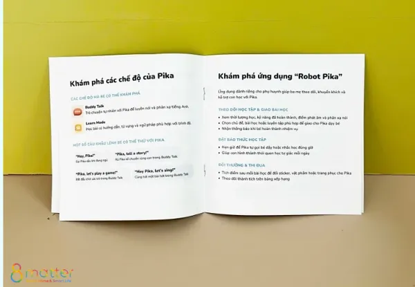 Hướng Dẫn Kết Nối Và Sử Dụng Robot Pika